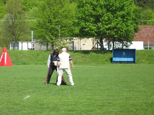 www.atibox.net * www.euroboxer.eu * www.boxergenealogia.eu